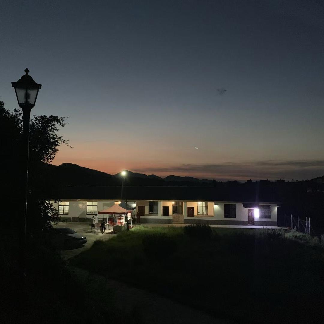 锋哥养蛇（和平）