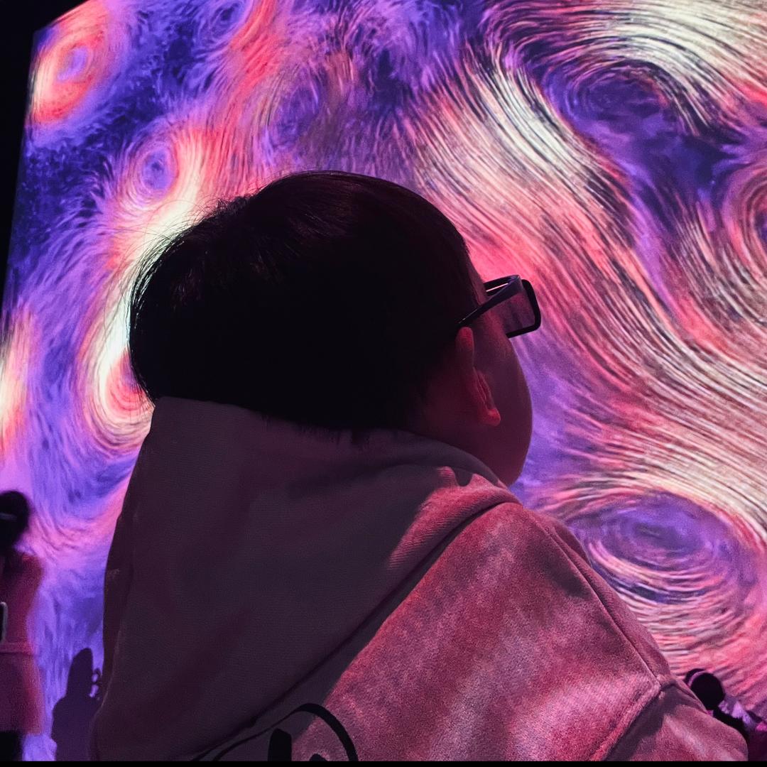 我老婆是个🐷啊