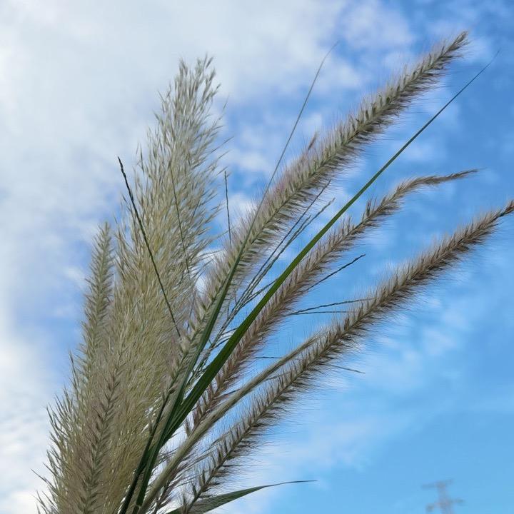 @小酒窝儿