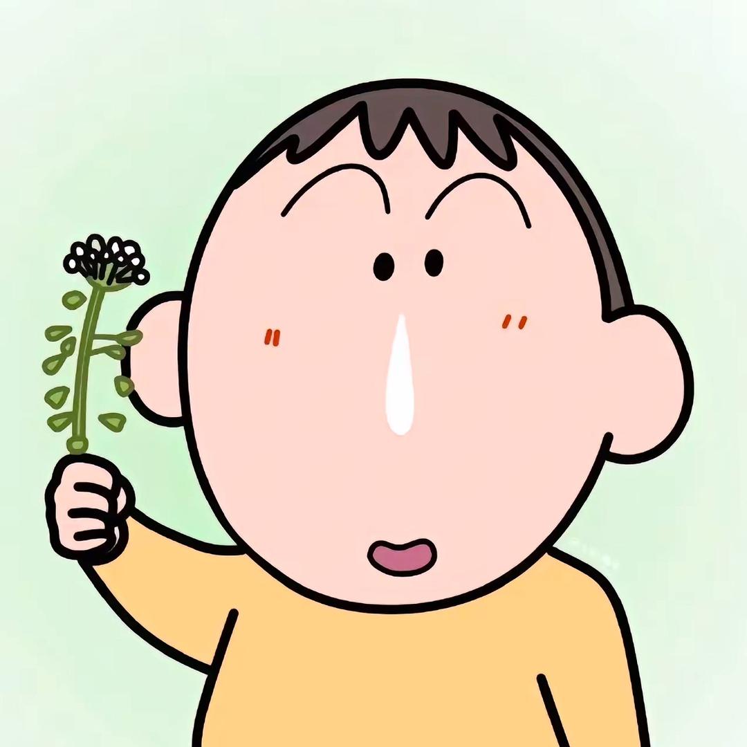 阿呆子