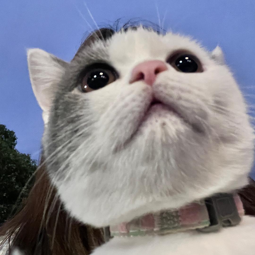 遇见💫