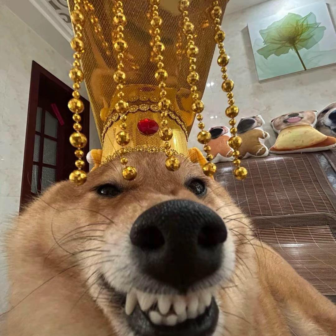 周冰口播代拍真人口播🉑长期合作