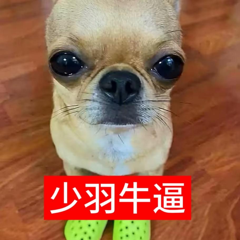 小妍
