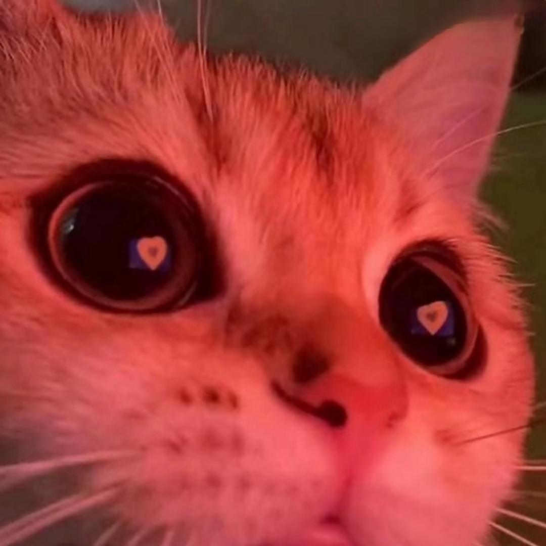 窃蓝