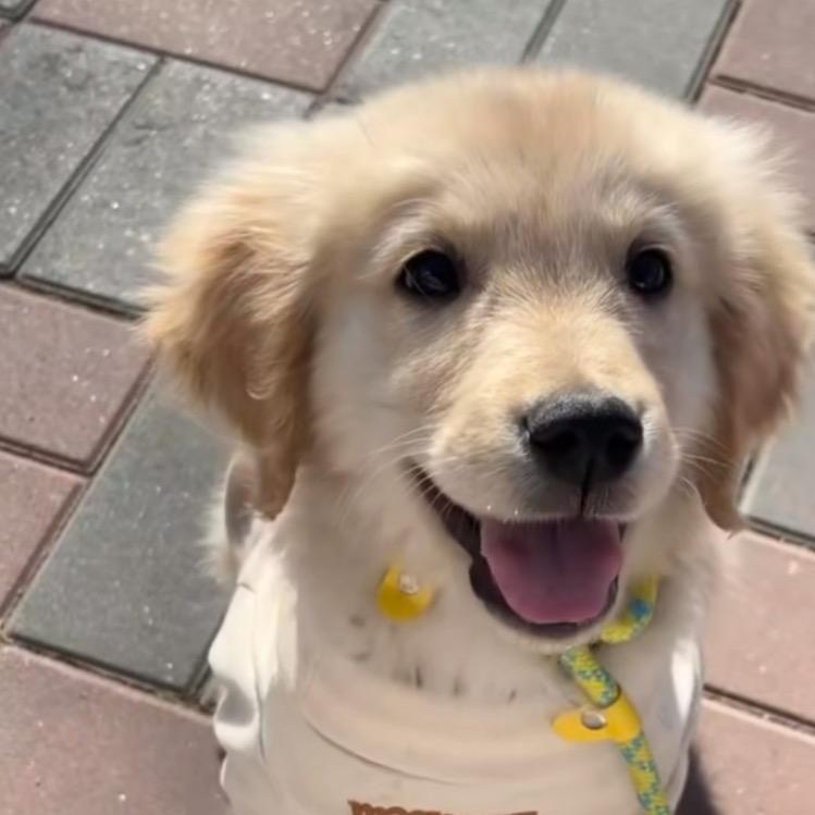 今天也元气满满