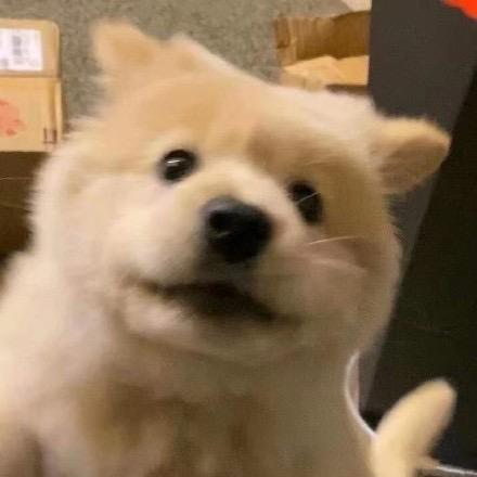 4u_