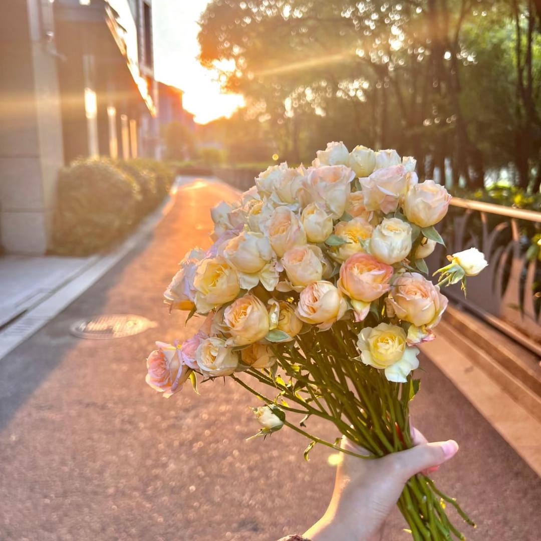 三月桃桃女装店