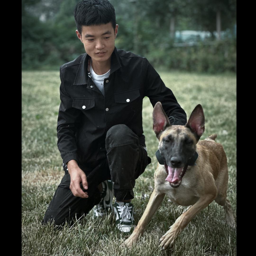 精灵训犬师~张鑫