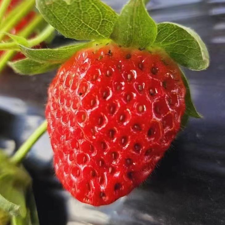 欣欣美食⁴¹³