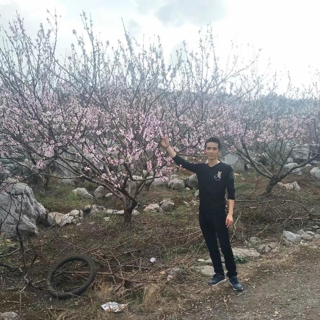 小江哥