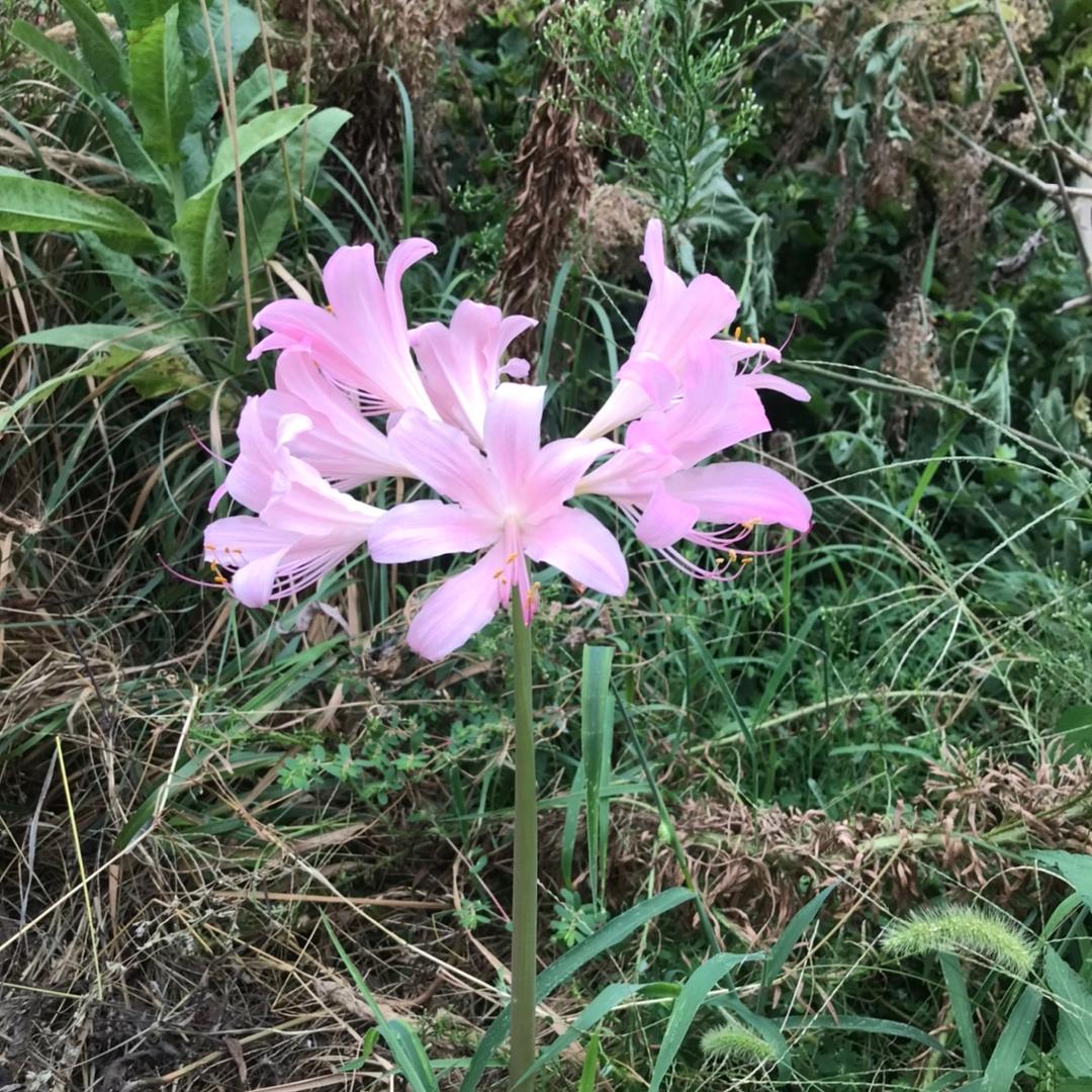 奔向理想