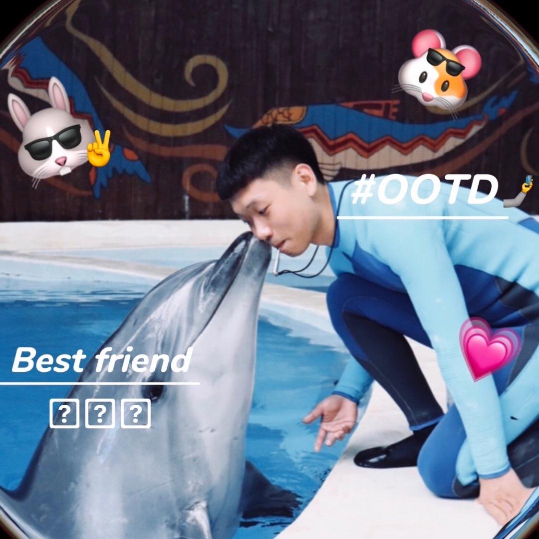 小泉🐬