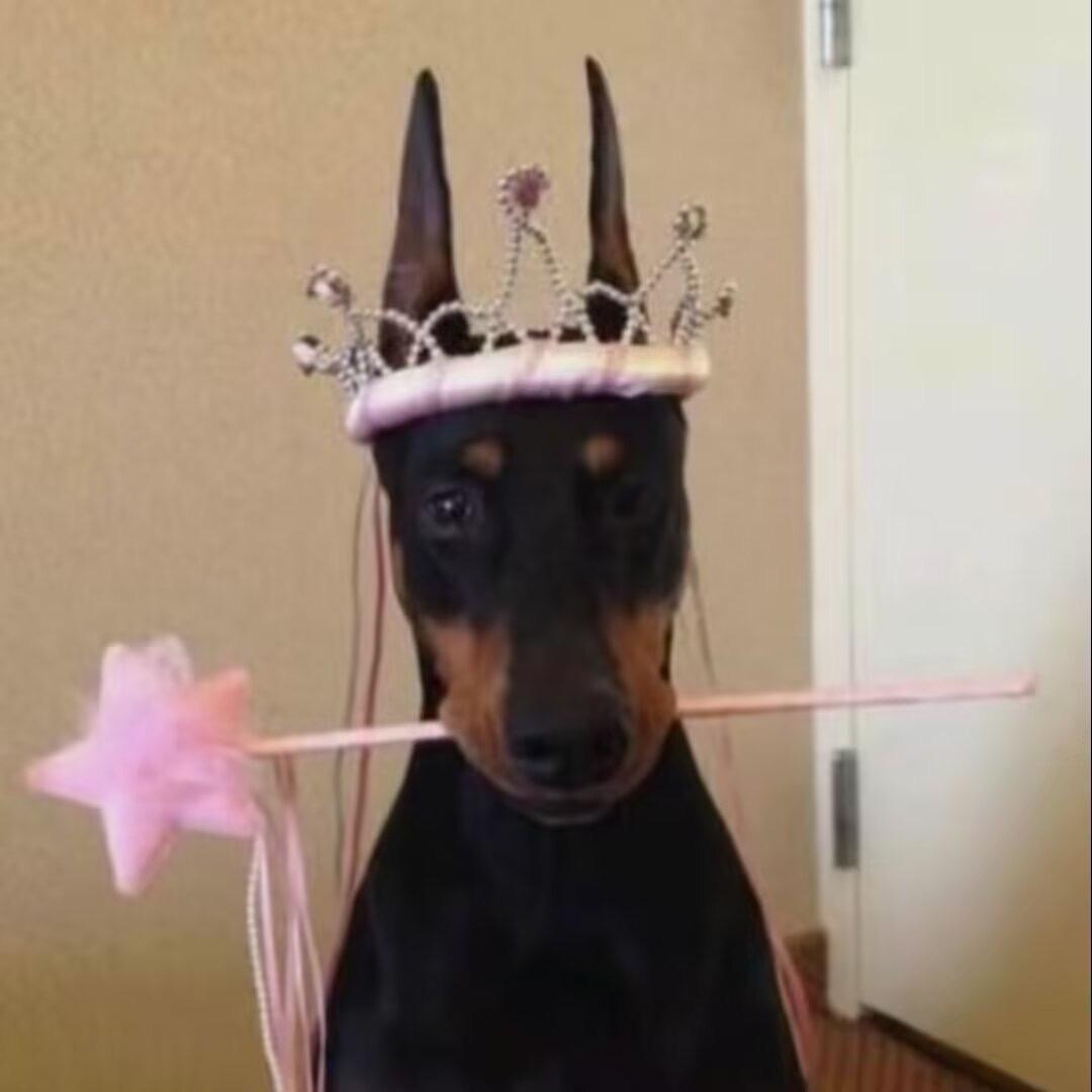 犬丸-