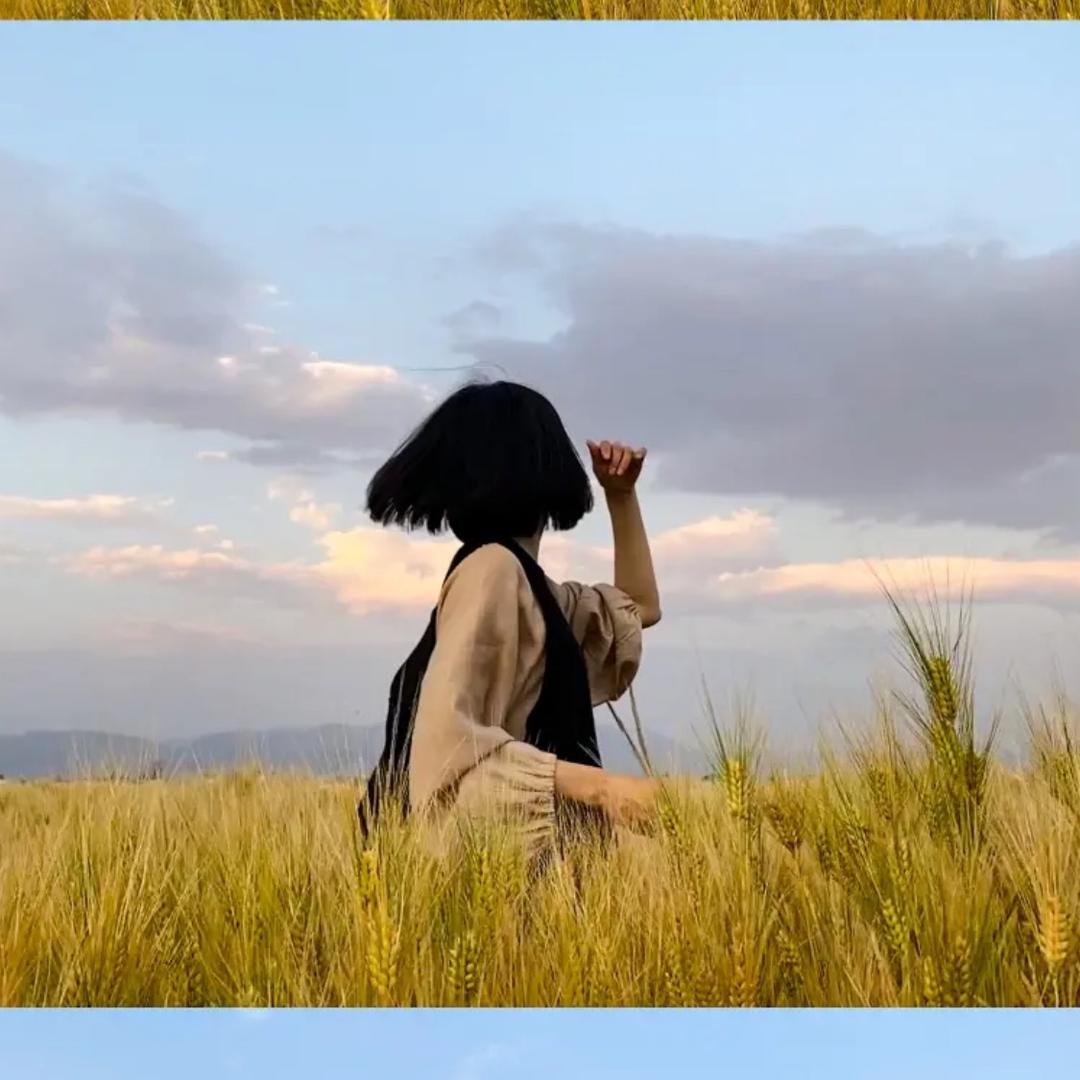 九弟走南闯北@抖音