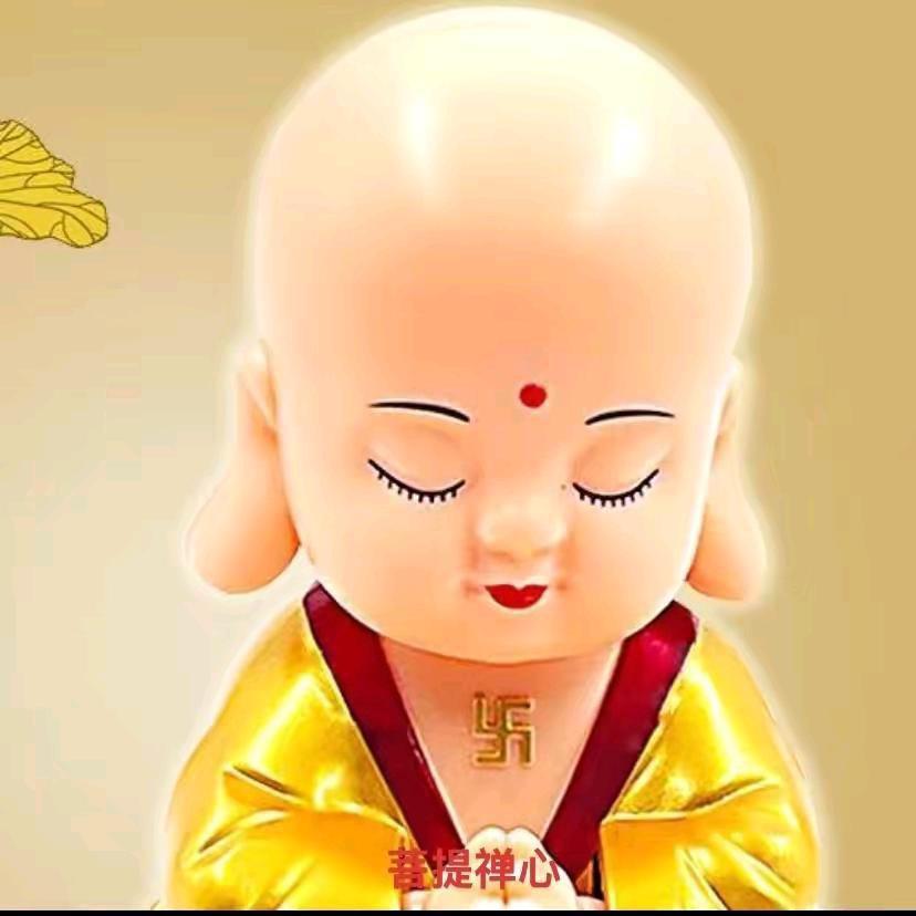 卡车苗哥