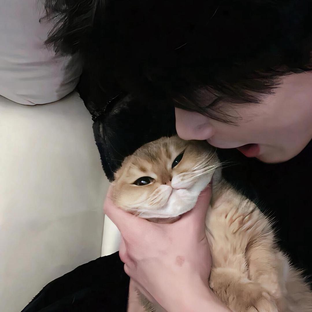 修呗吖🐾