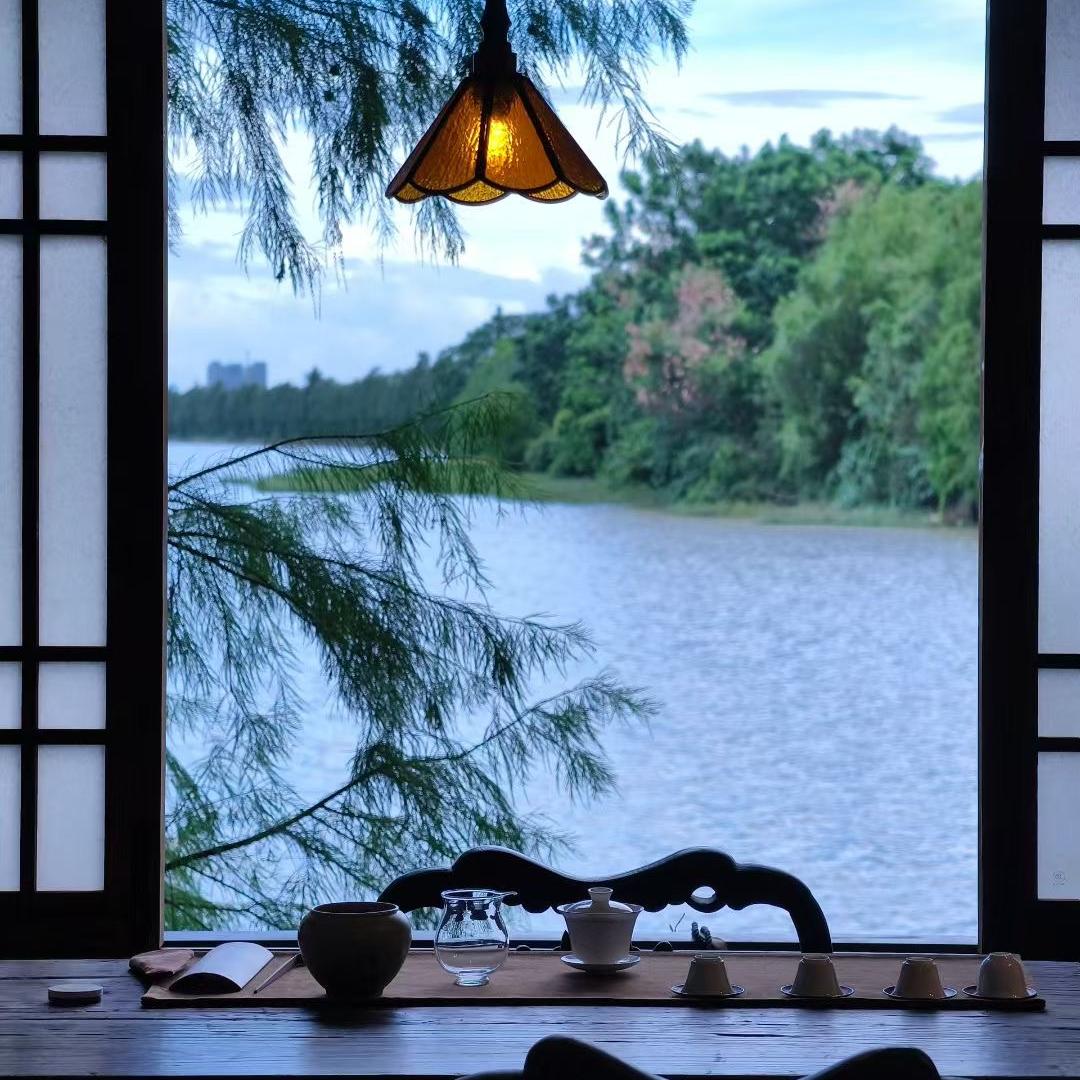 九十九亿少女的梦