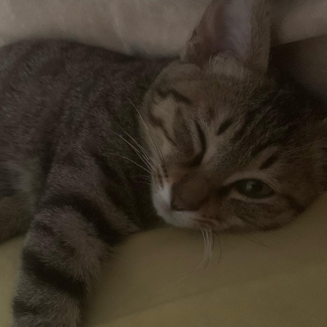 浔雨（见过D4展轩版）