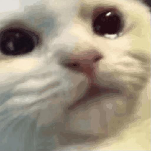 老第玩苹果