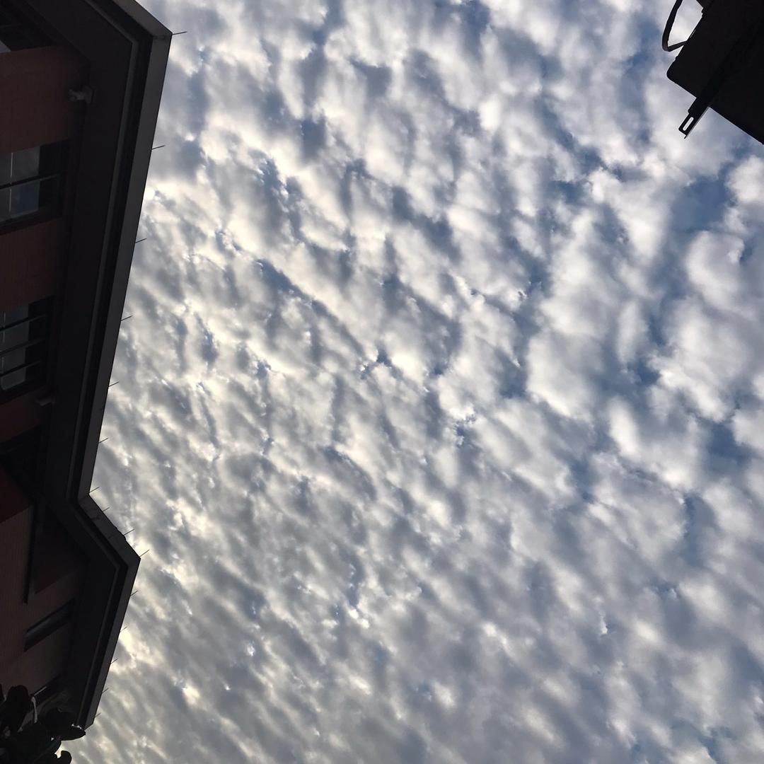 用户名67497479头像