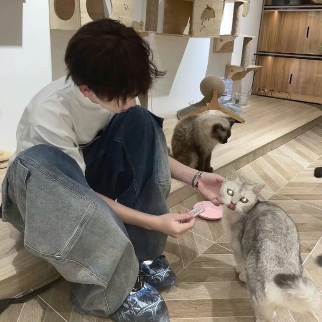 早点睡觉꒰ᐢ⸝⸝•༝•⸝⸝ᐢ꒱