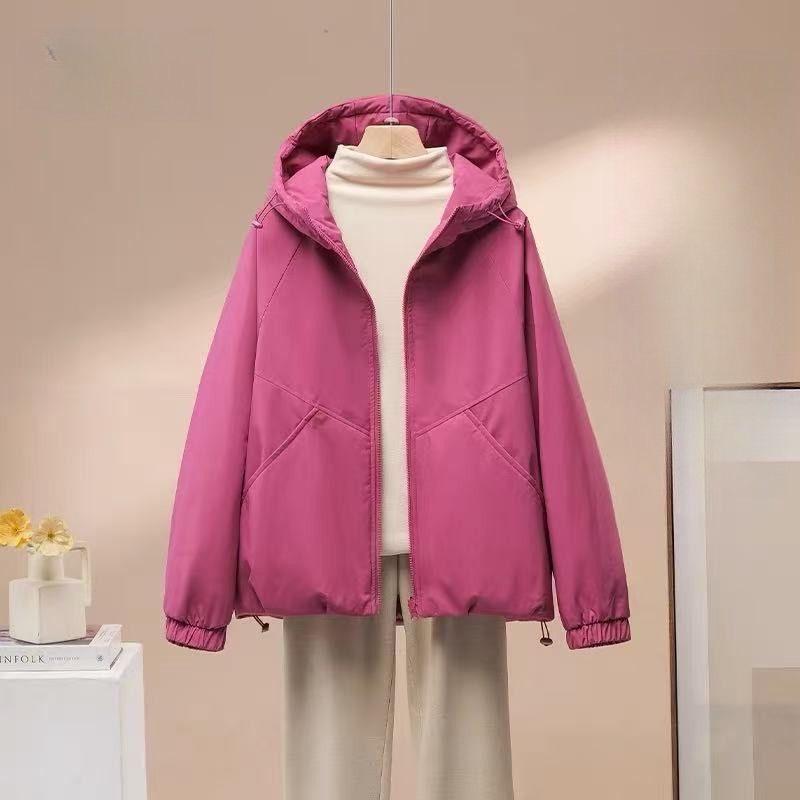 努力版汪小姐🫶