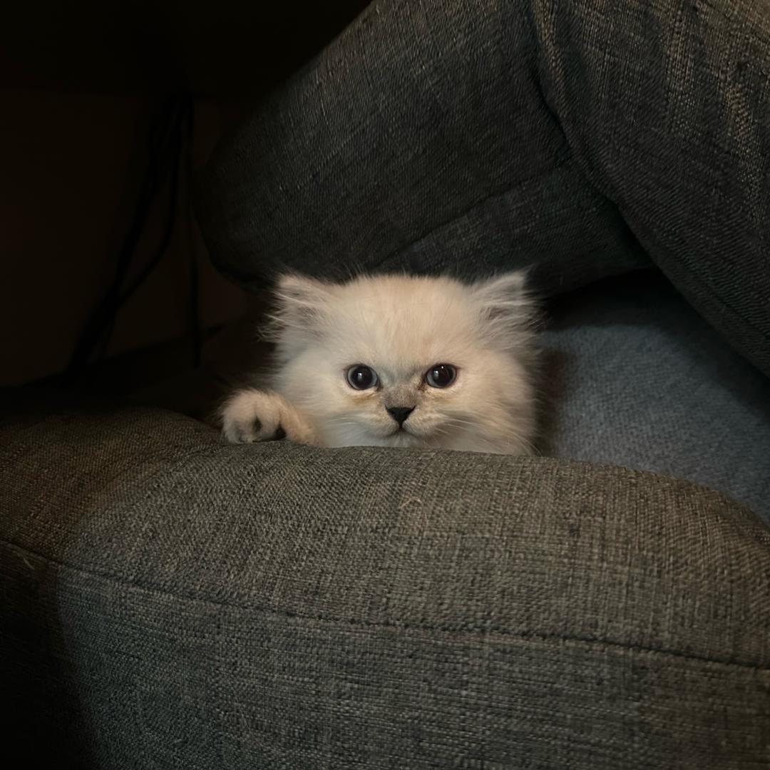 文都考研王老师