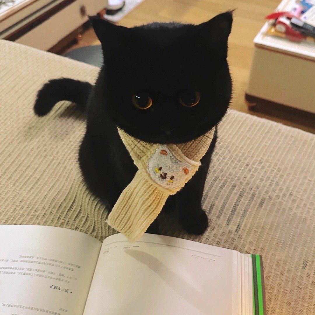 大润发生鲜主管