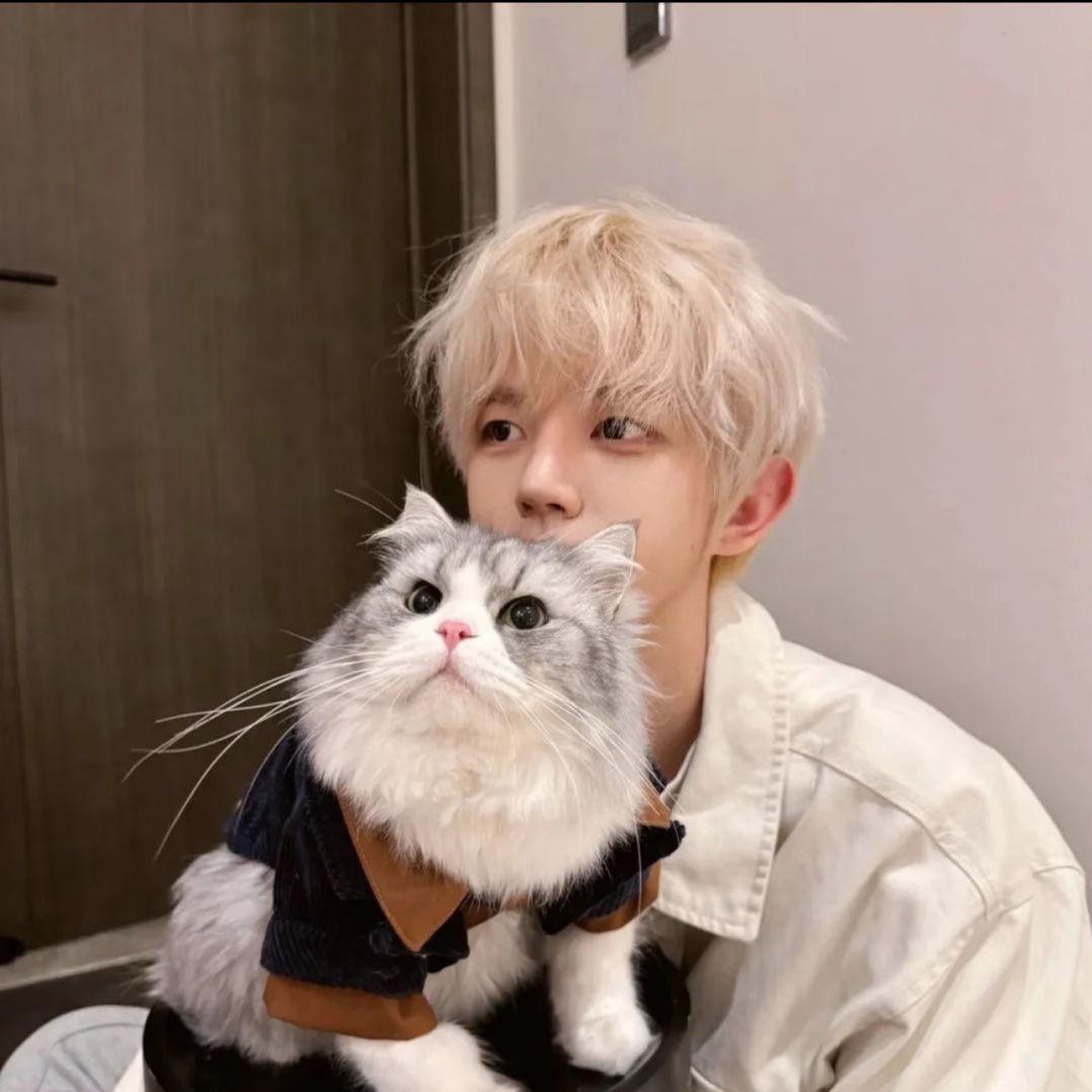 百子ovo（酸角粥行动）