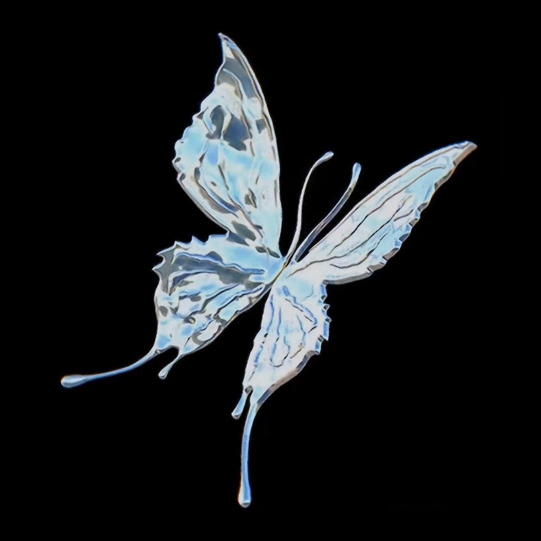 Vermouth🦋
