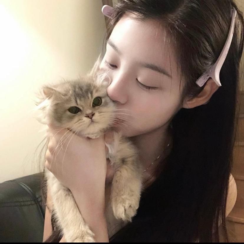 呆呆麦