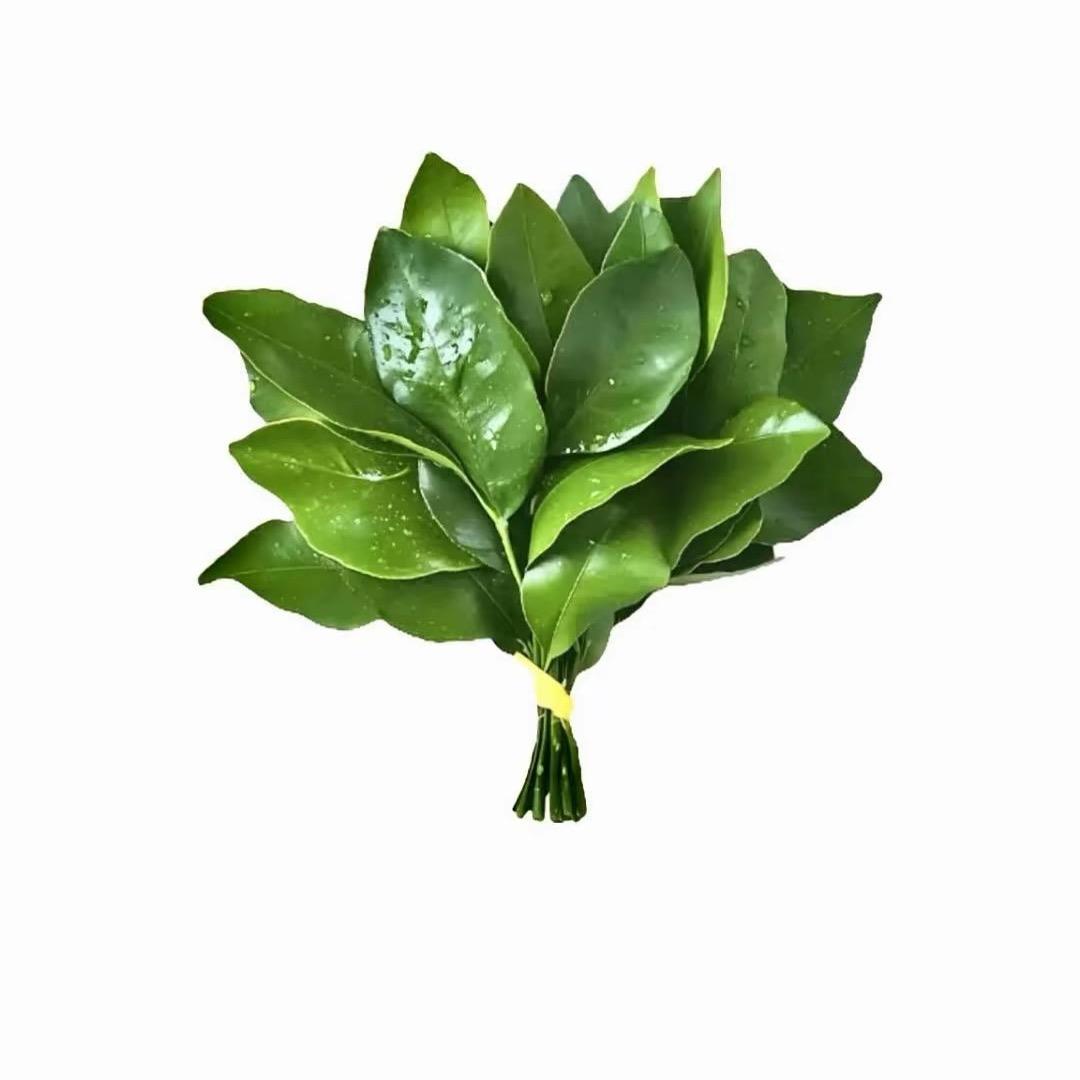 媪