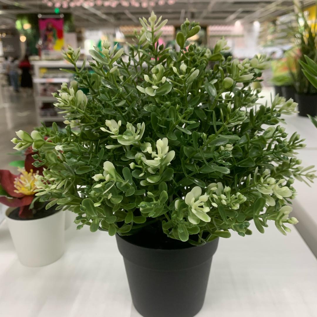 米粒丨穿搭橱柜