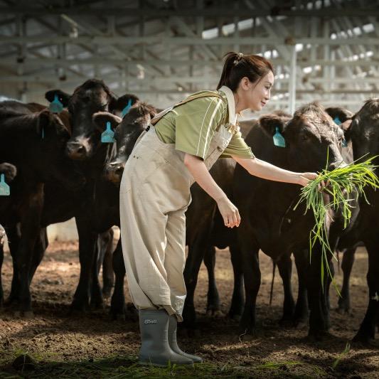 天利小镇-小微家牧场