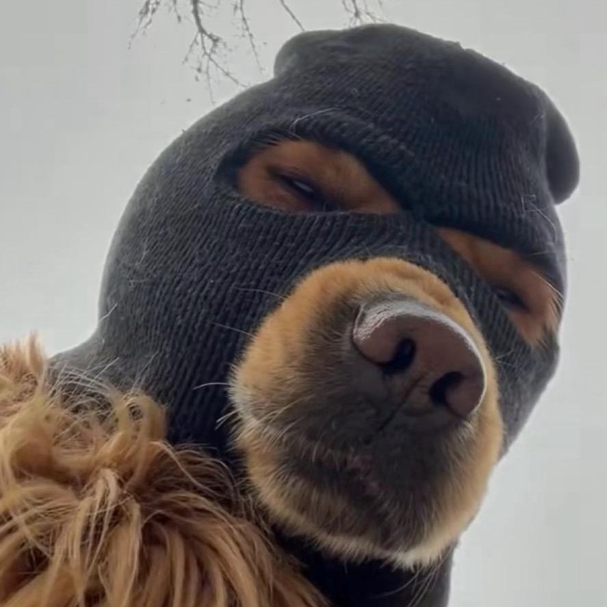 在昆明跑车的磊子