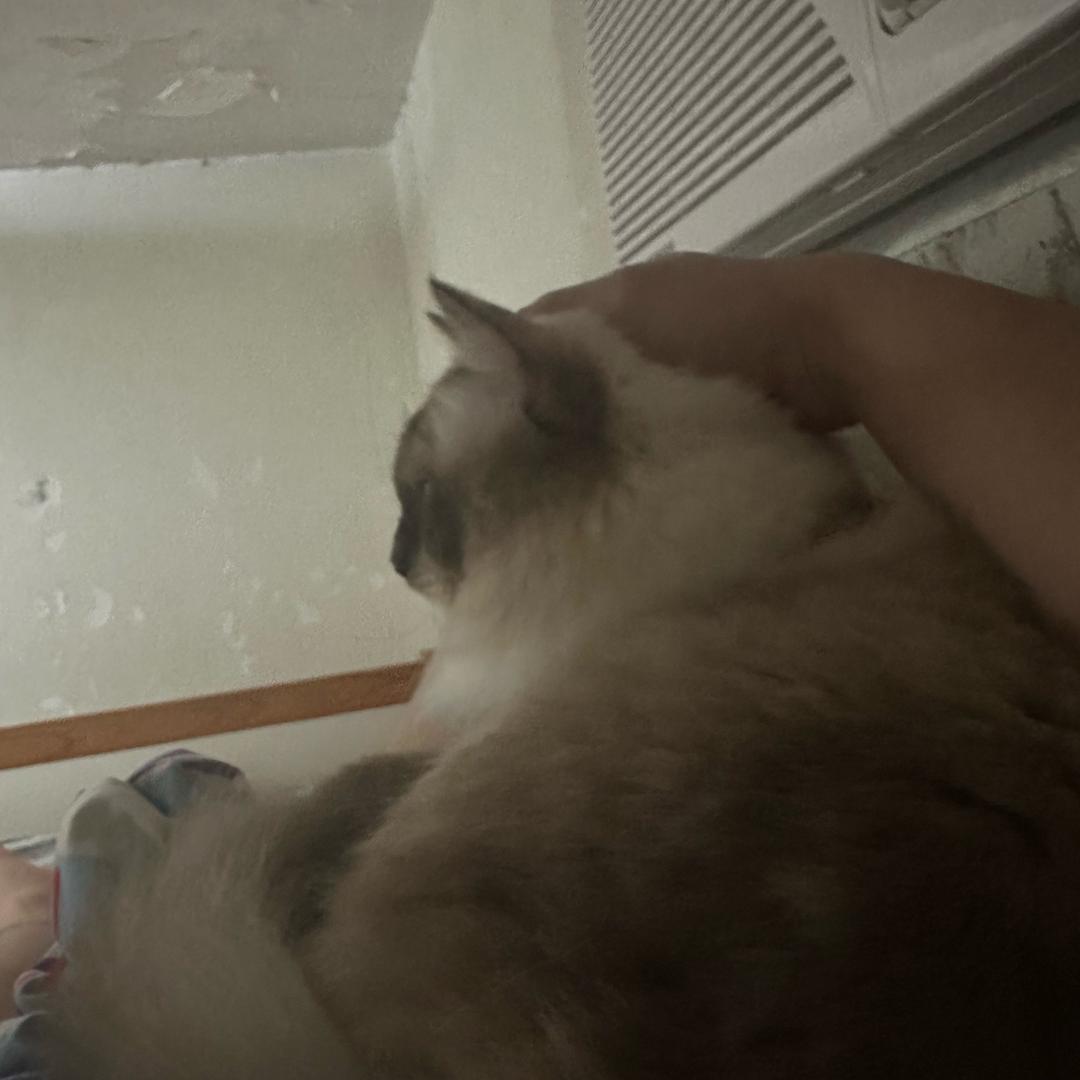 芭比木捏牛🧸¹º²⁹