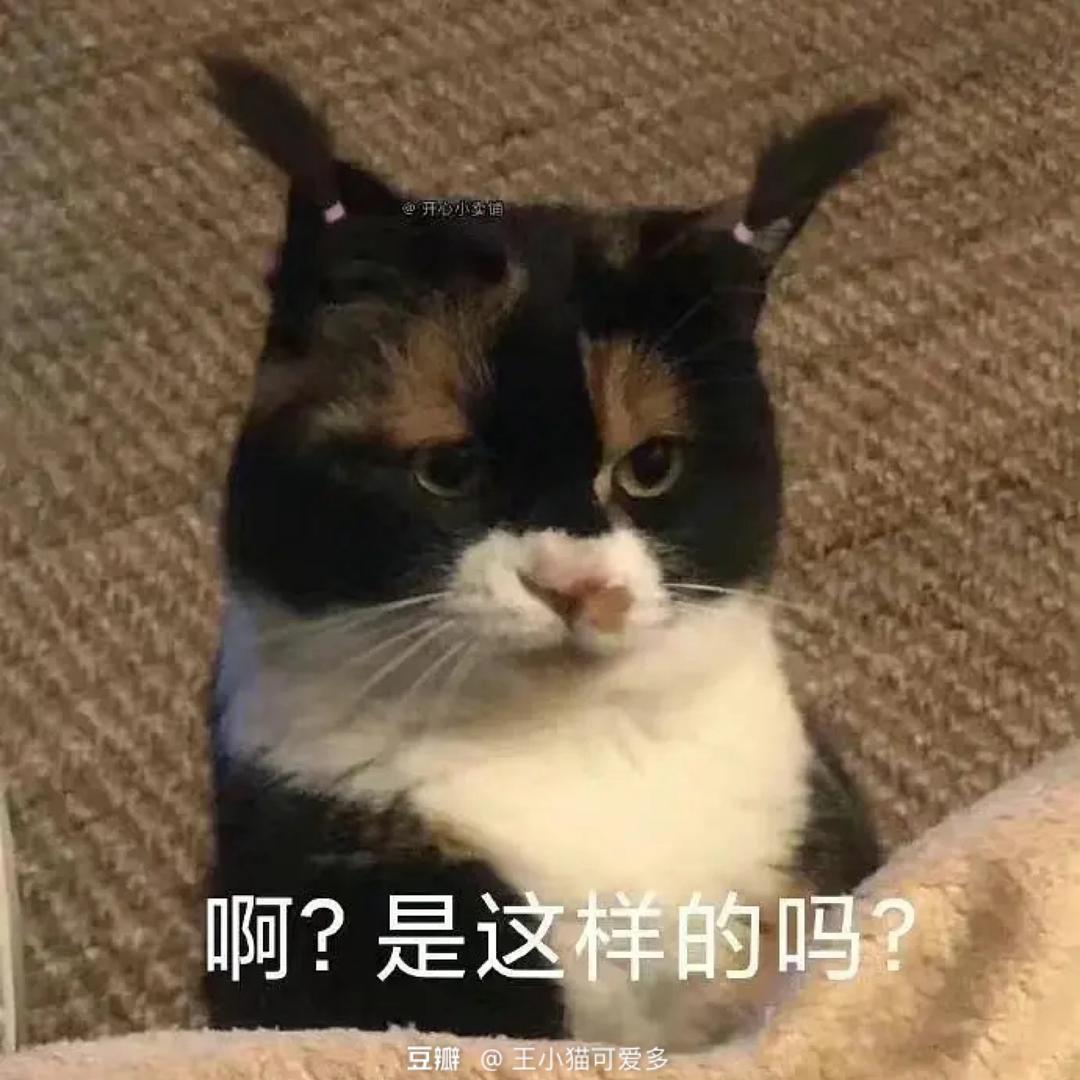馋宗大师亲传弟子