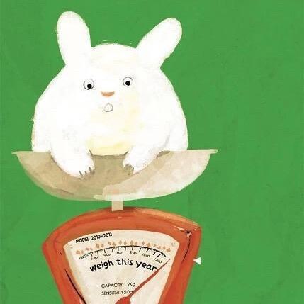 肥兔潮玩（野生版）