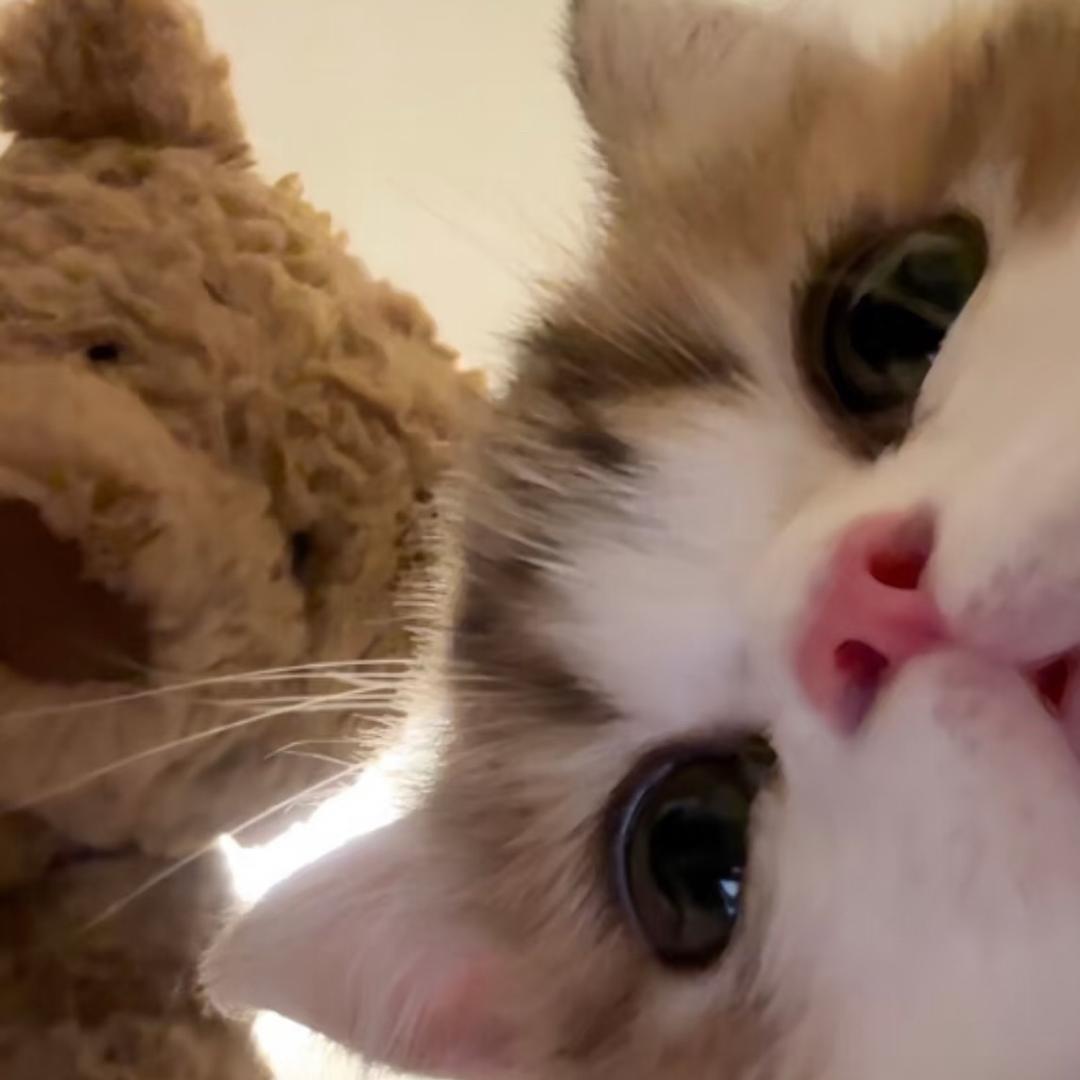 你管我长什么样