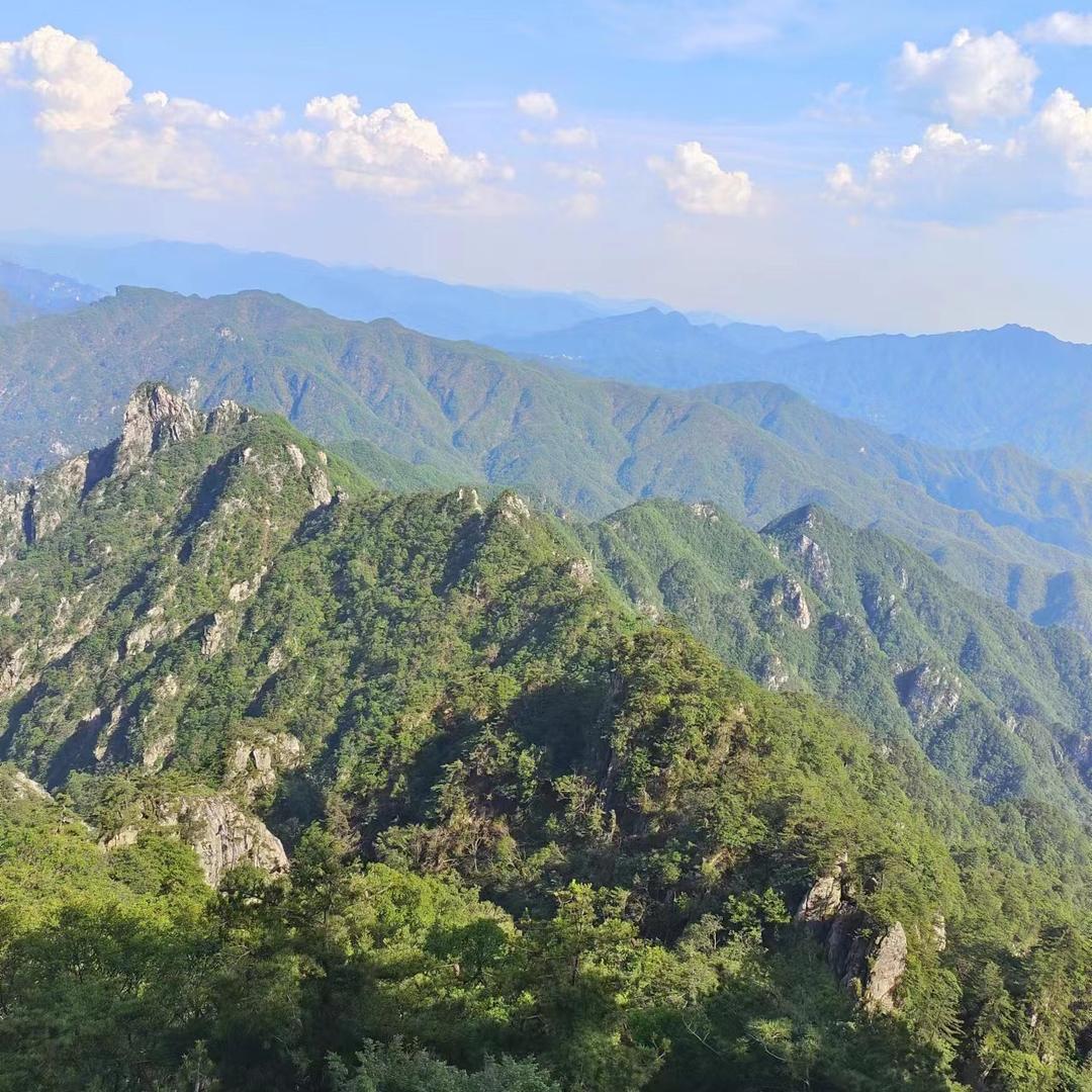 大荔瑞荣二手车市场