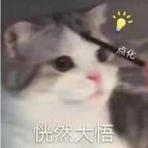 周蛋挞（归山玉版💫