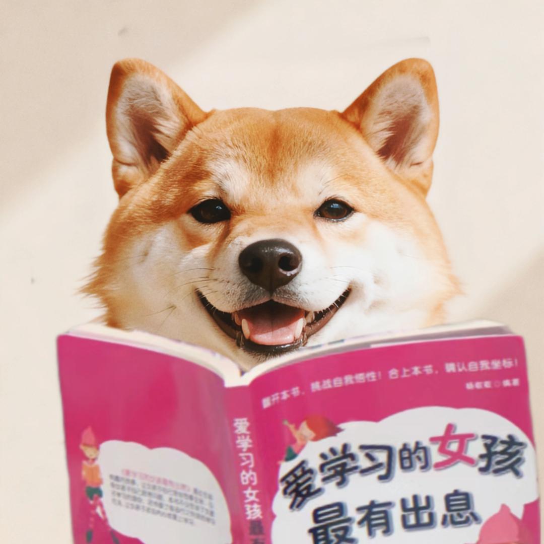 大顺家柴犬（杭州）