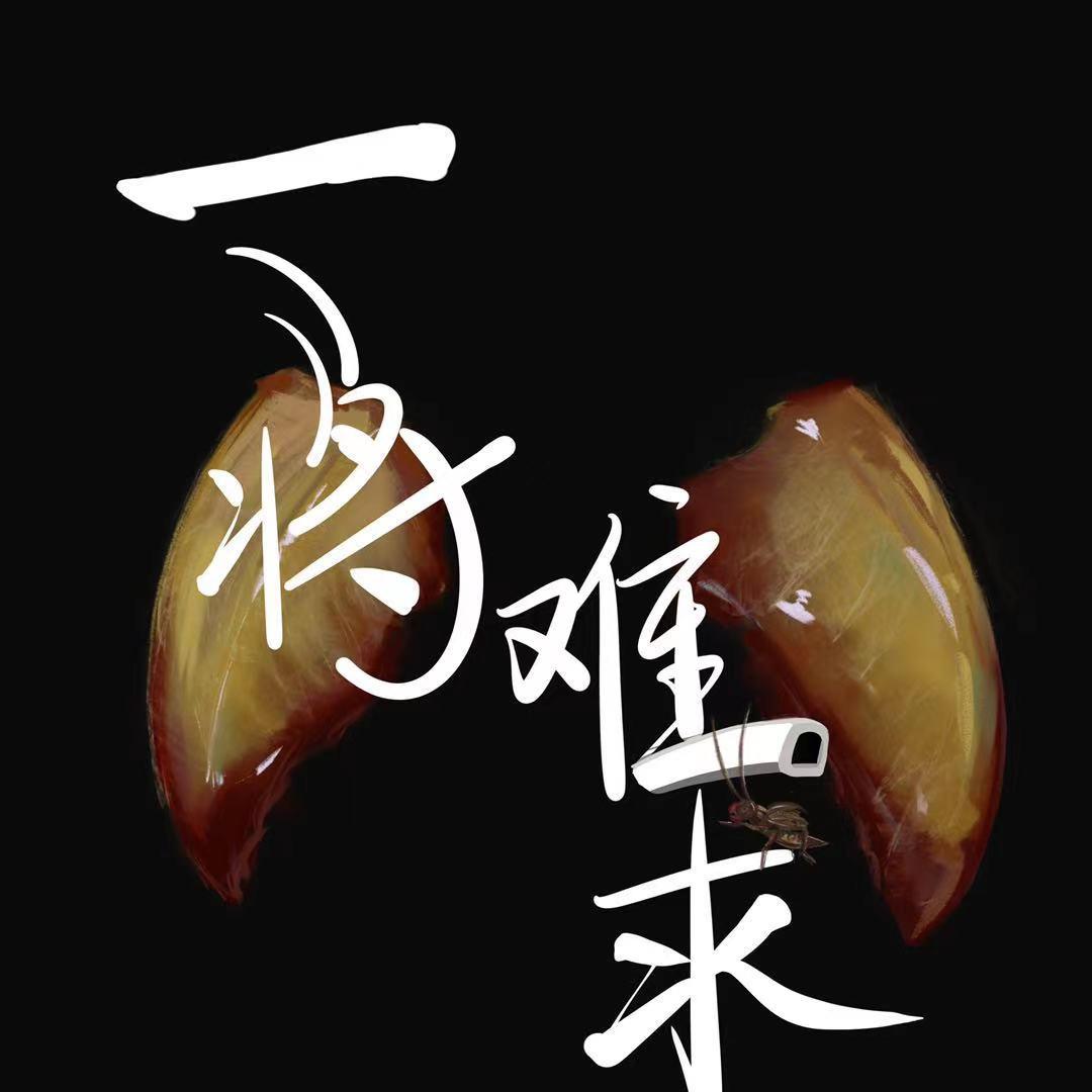 纪录片一将难求