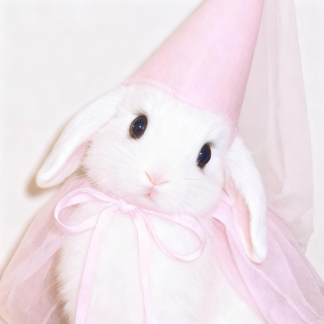 𝗟𝗸𝗺𝗶𝗻𝗻𝗼𝘄🤎