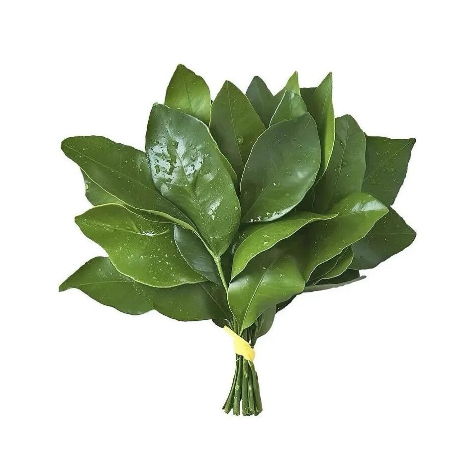 Tiaotiao—