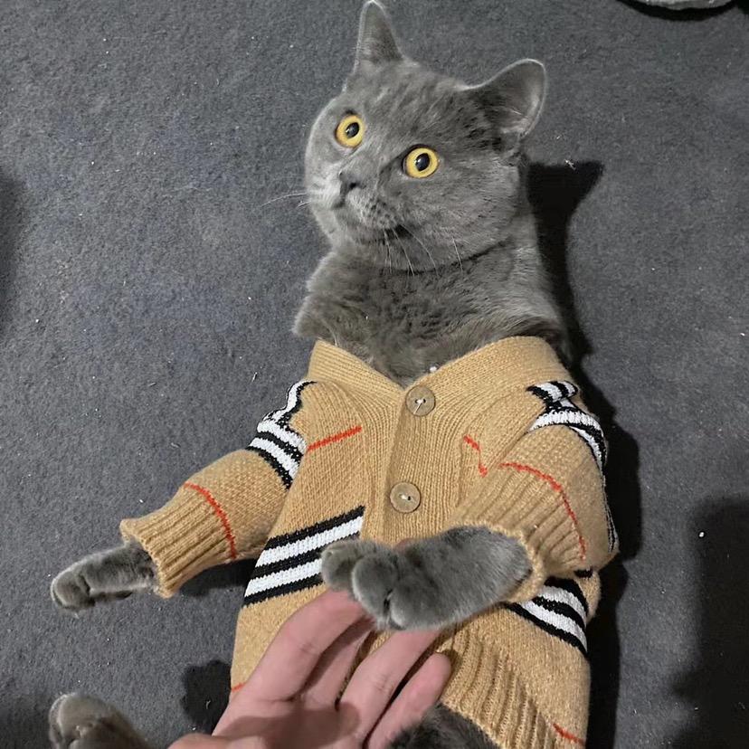 A、超
