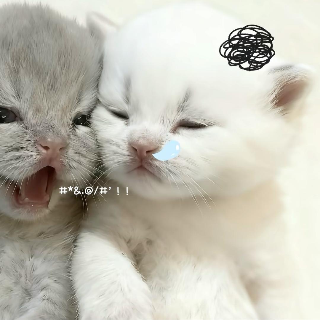 清妍