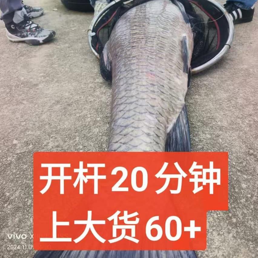 老莫钓巨物