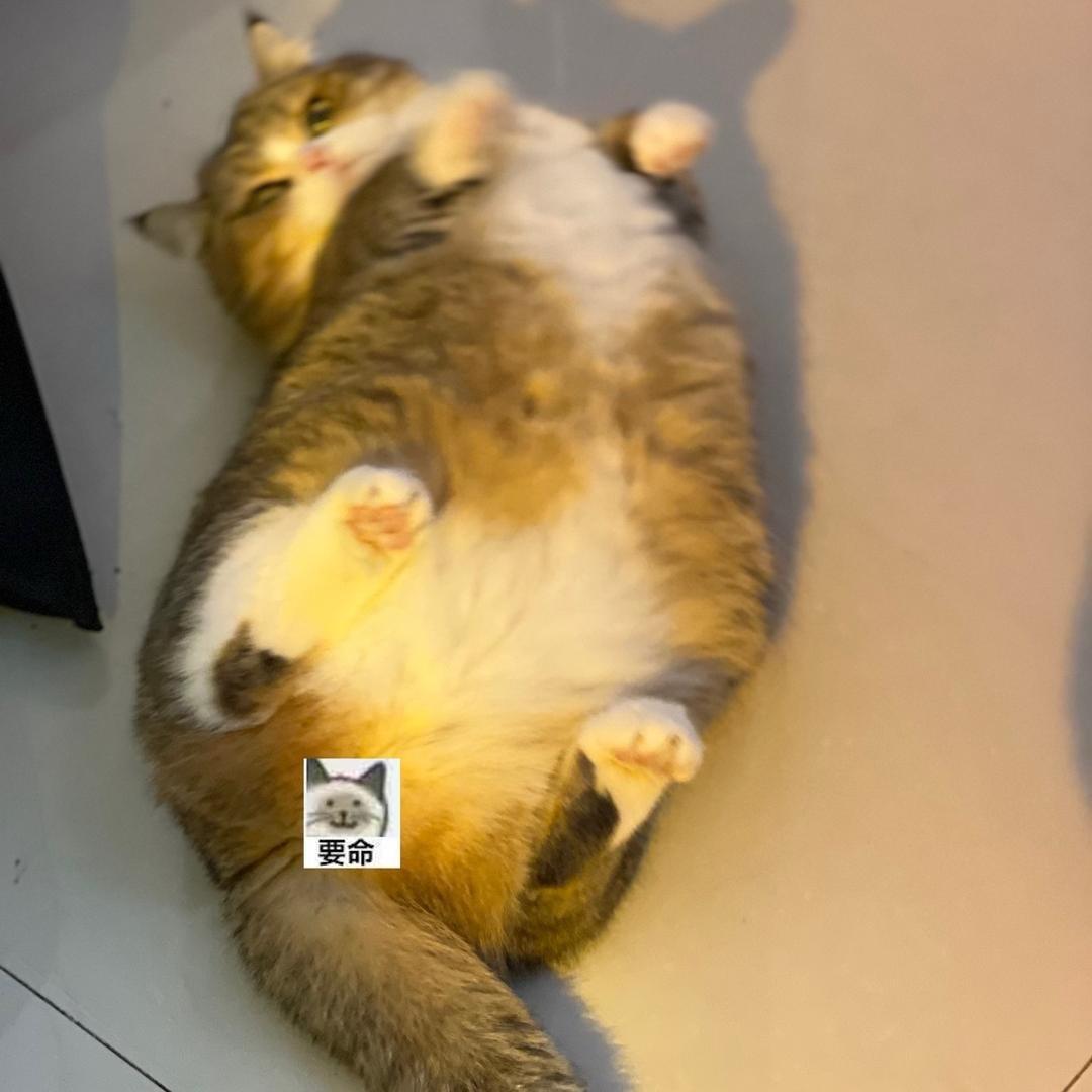 💕
