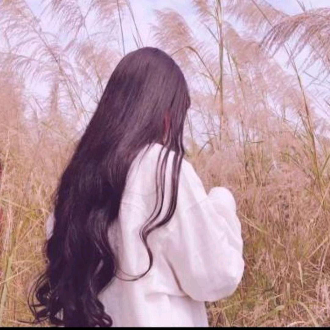@木子🍀